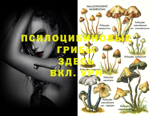 прущий лед Верея