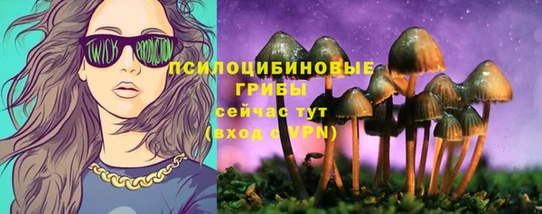 ECSTASY Волоколамск