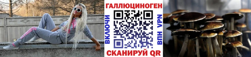ОМГ ОМГ ТОР  купить  цена  Волжский  площадка формула  Галлюциногенные грибы Psilocybe 
